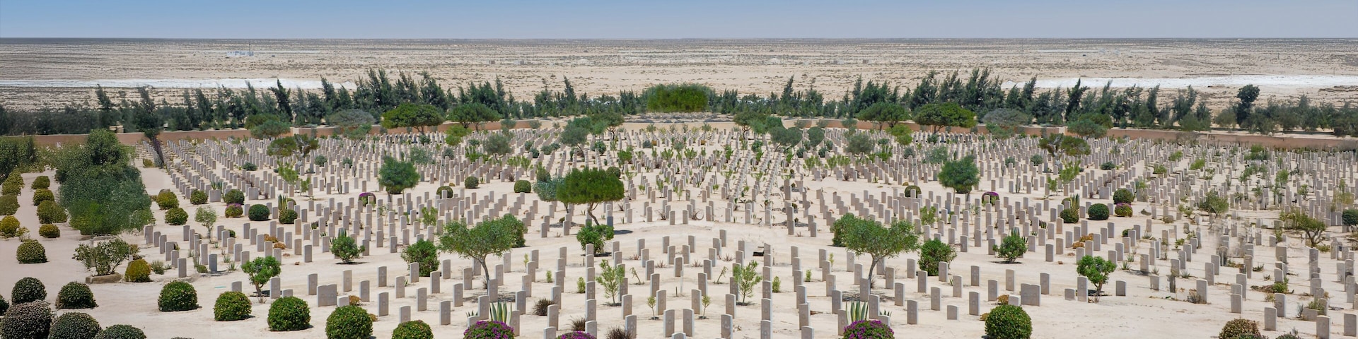 A cemetery with numerous headstones and trees.