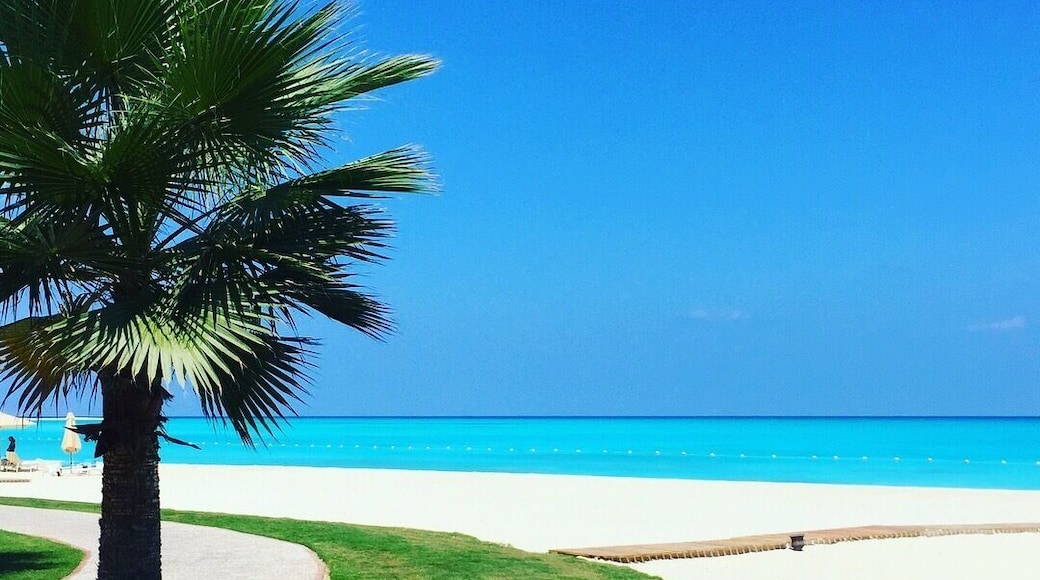 #nofilter #lifeatexpedia. The Mediterranean coast of Egypt has one of the world’s most beautiful sandy beaches with turquoise crystal clear waters. Tip: the best time to go is in may/june when it’s warm but not crowded.