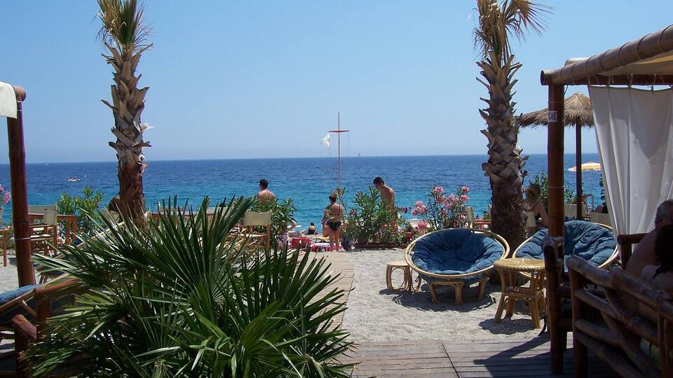A beachside patio with wooden furniture, palm trees, and a view of the ocean.