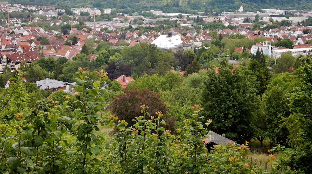 Metzingen