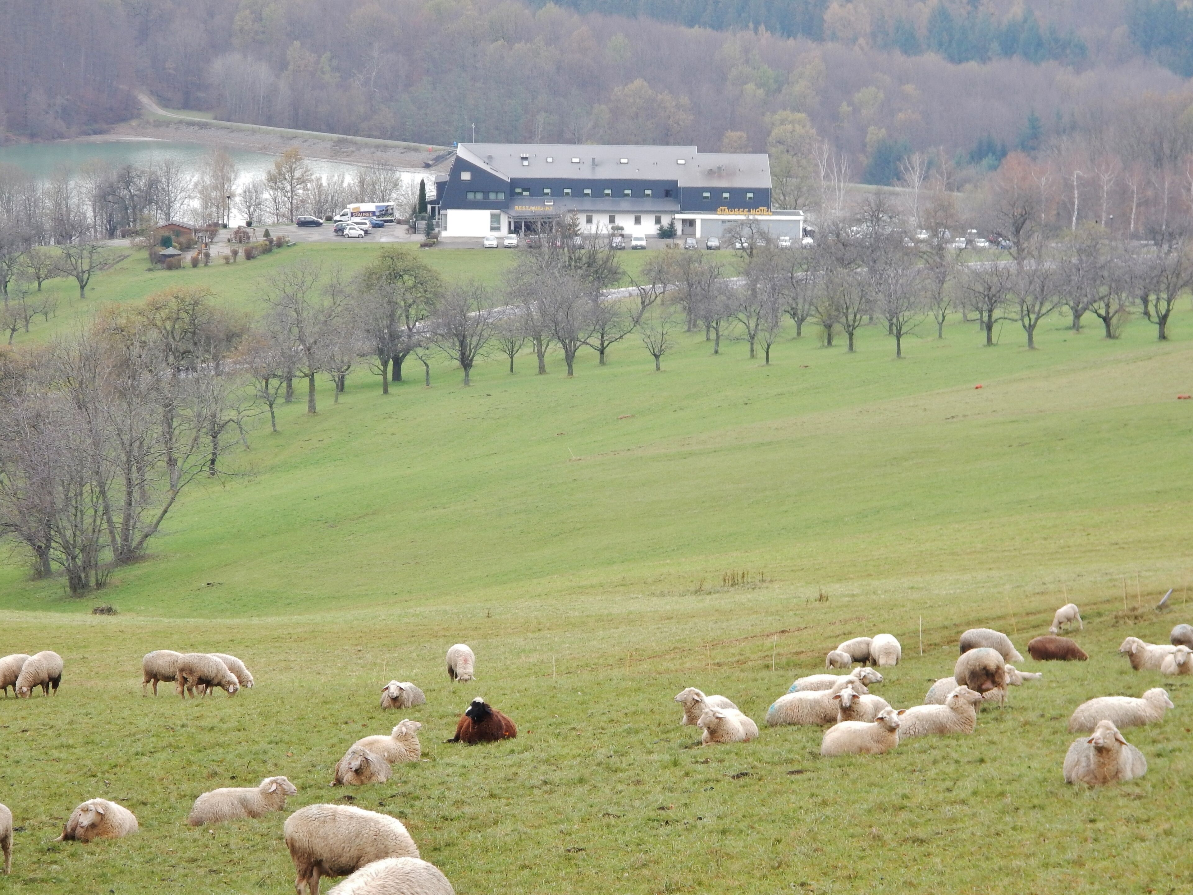 Stausee-Hotel am Glems-Unterbecken