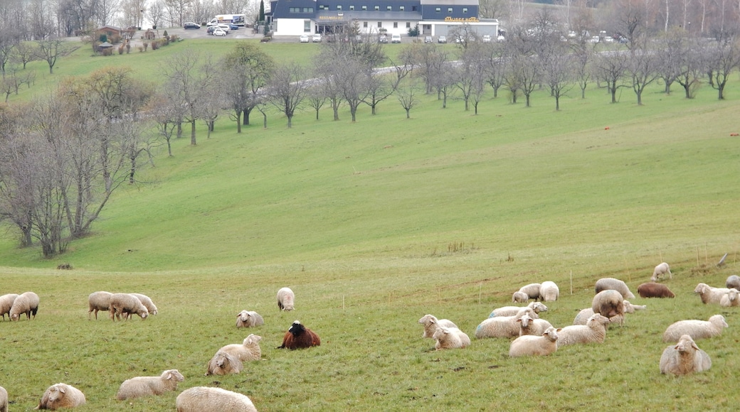 Stausee-Hotel am Glems-Unterbecken