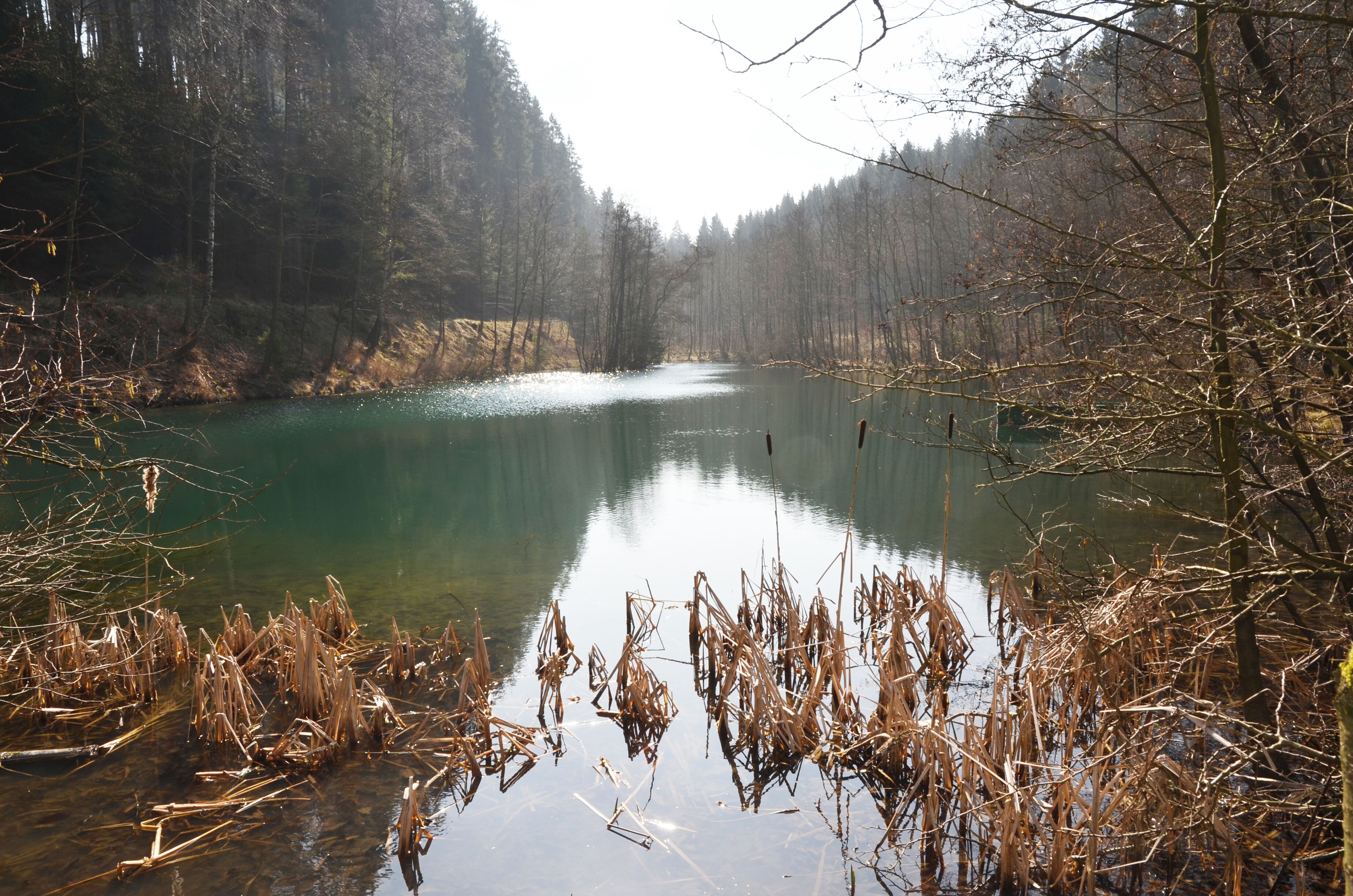 Brilon Wald, die Schmala, Oberer Teich (2)