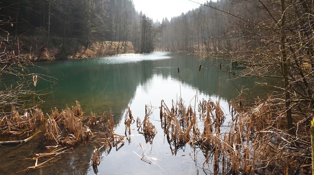 Brilon Wald, die Schmala, Oberer Teich (2)