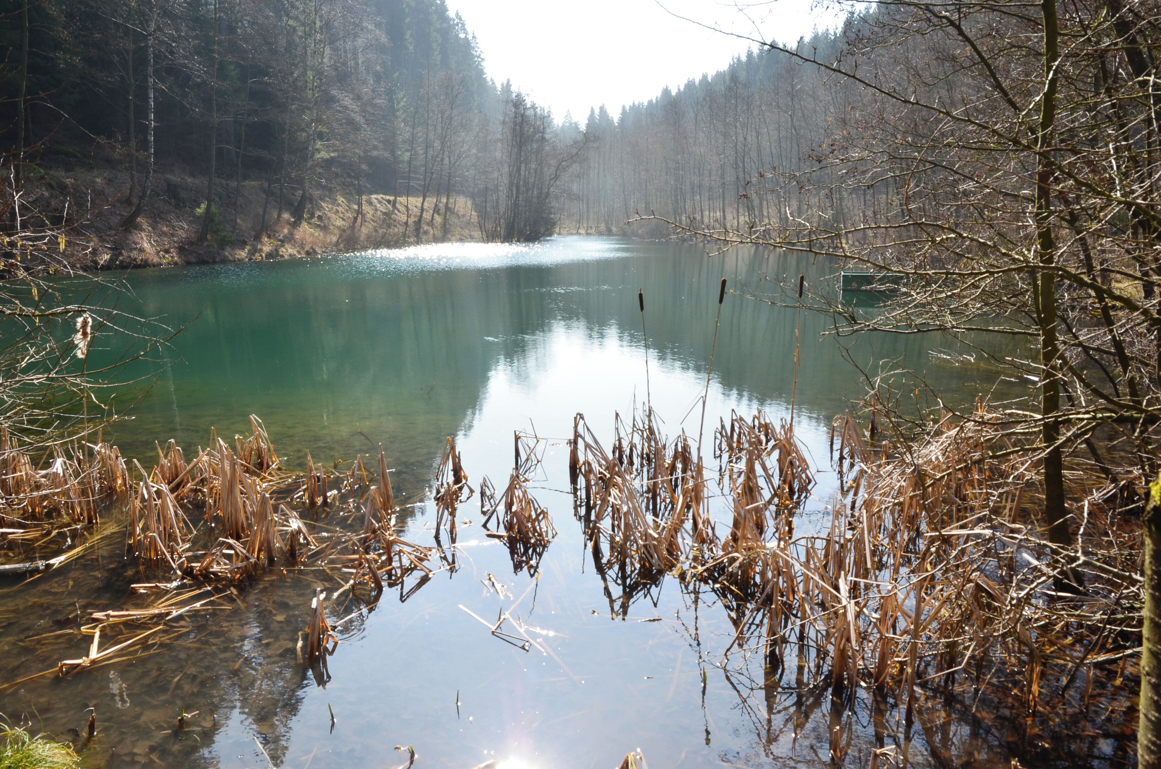 Brilon Wald, die Schmala, Oberer Teich (3)