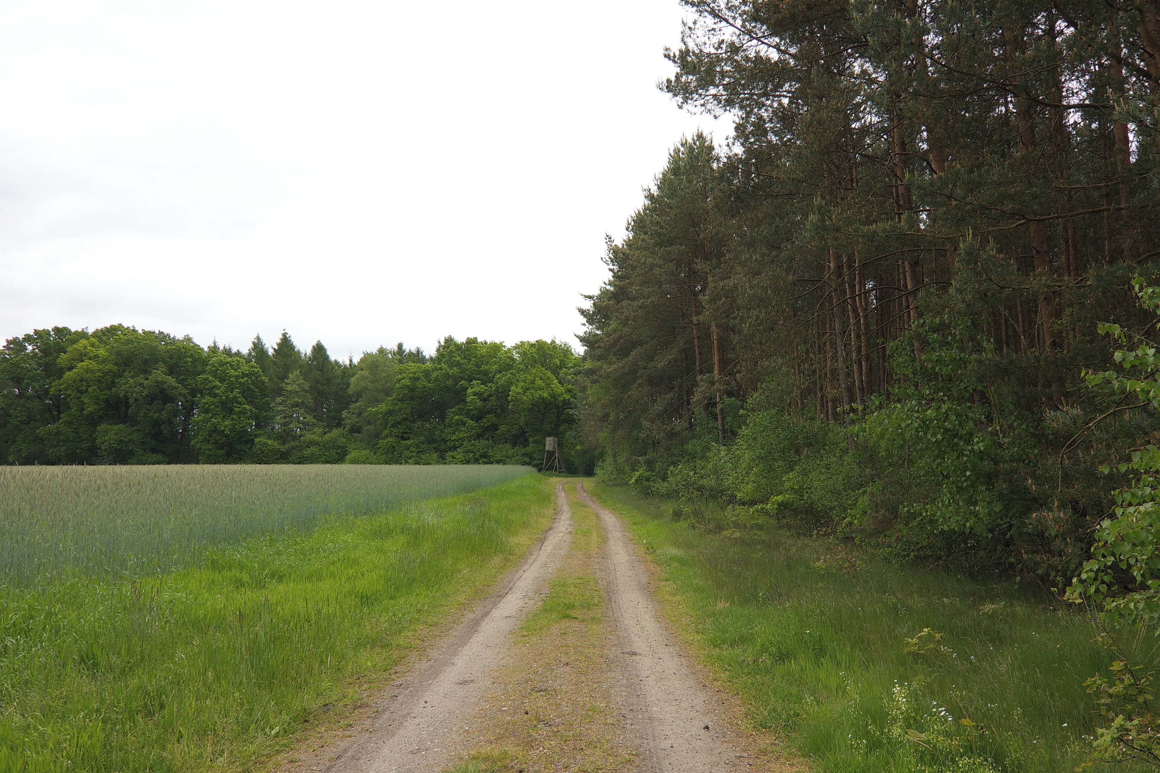LSG Örtzetal von Müden bis zur Allermündung bei Wolthausen (Winsen), Niedersachsen, Deutschland