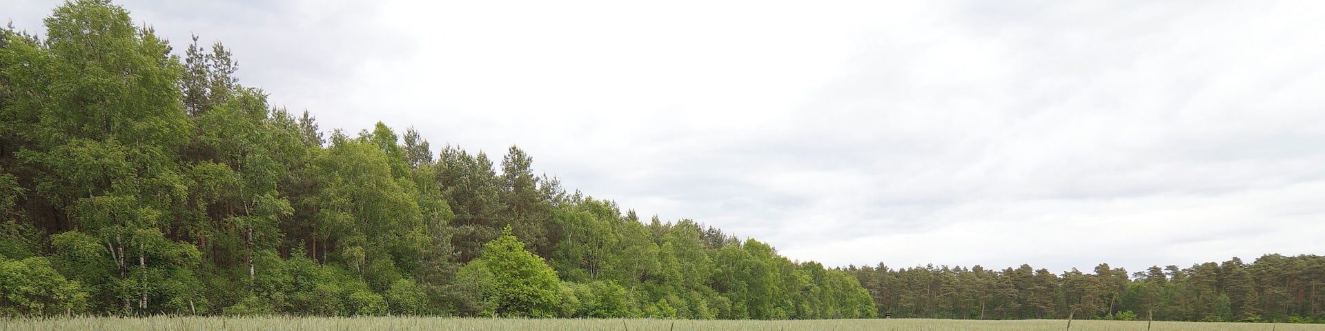 LSG Ărtzetal von MĂŒden bis zur AllermĂŒndung bei Wolthausen (Winsen), Niedersachsen, Deutschland