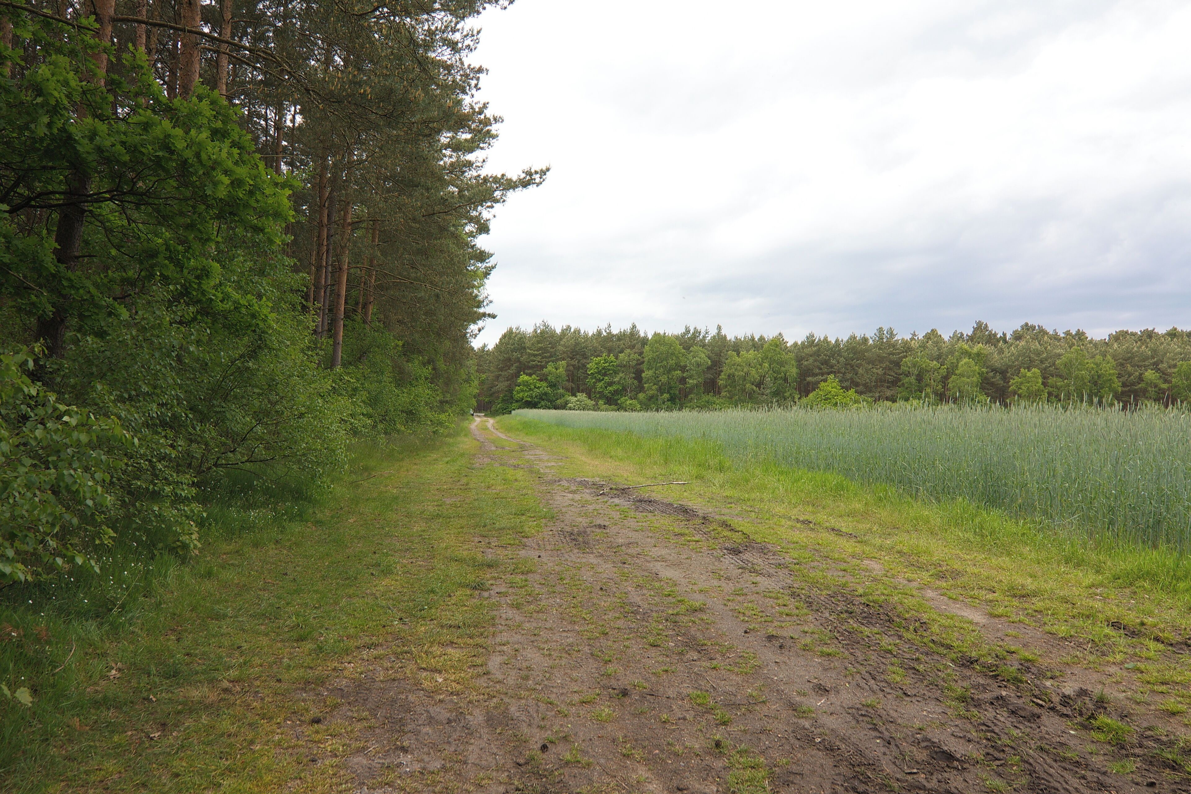 LSG Örtzetal von Müden bis zur Allermündung bei Wolthausen (Winsen), Niedersachsen, Deutschland