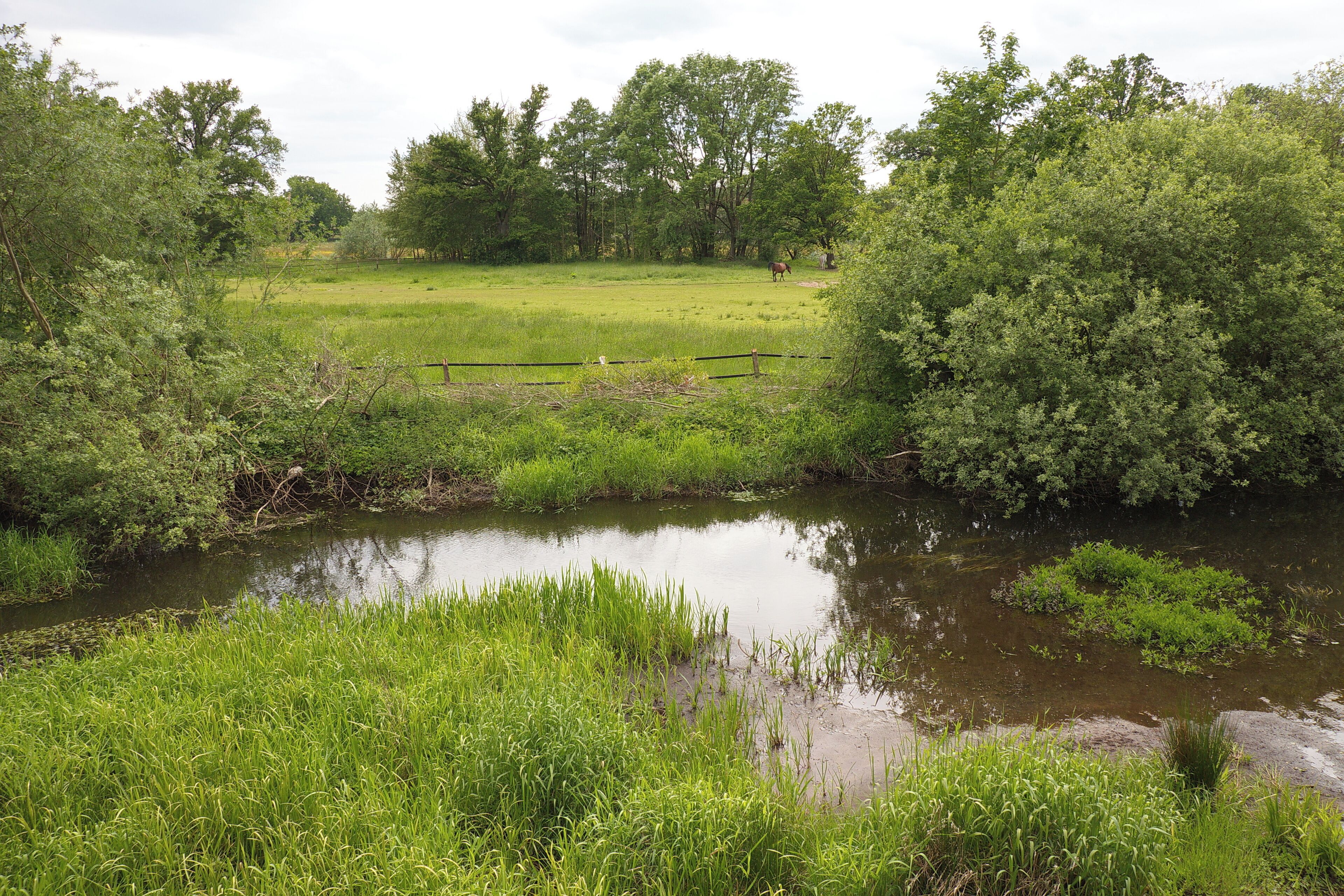 LSG Örtzetal von Müden bis zur Allermündung bei Wolthausen (Winsen), Niedersachsen, Deutschland