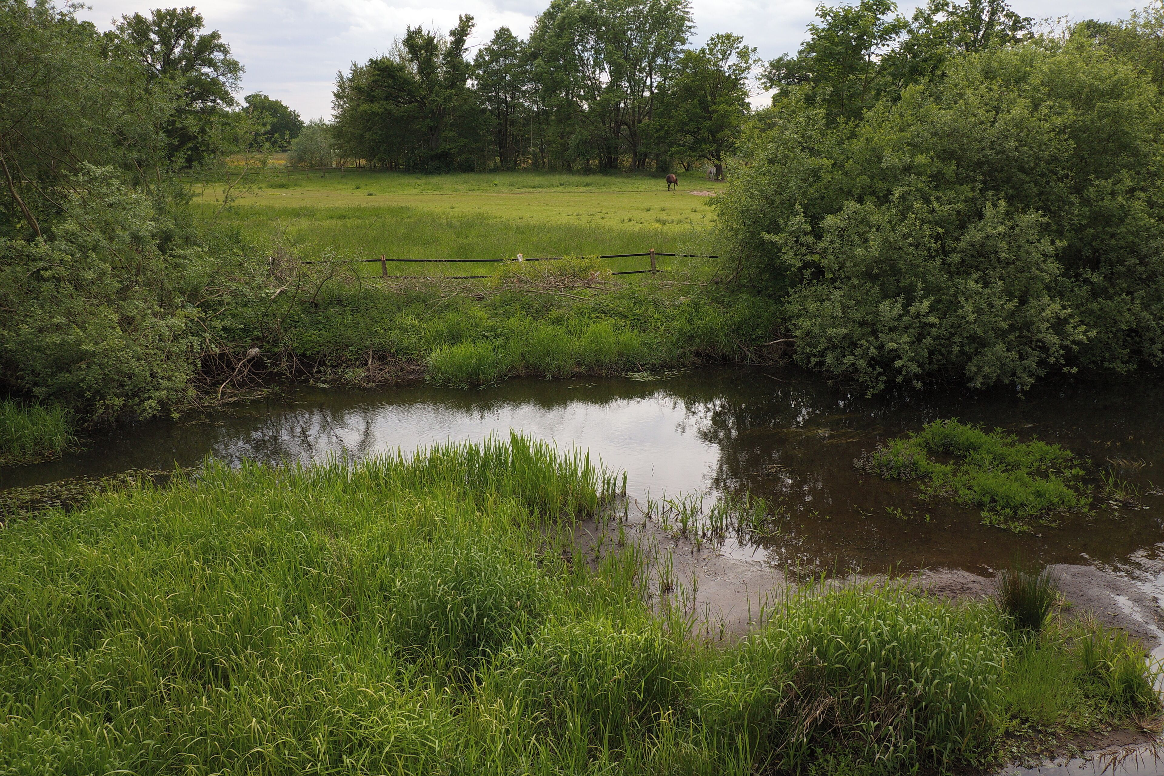 LSG Örtzetal von Müden bis zur Allermündung bei Wolthausen (Winsen), Niedersachsen, Deutschland