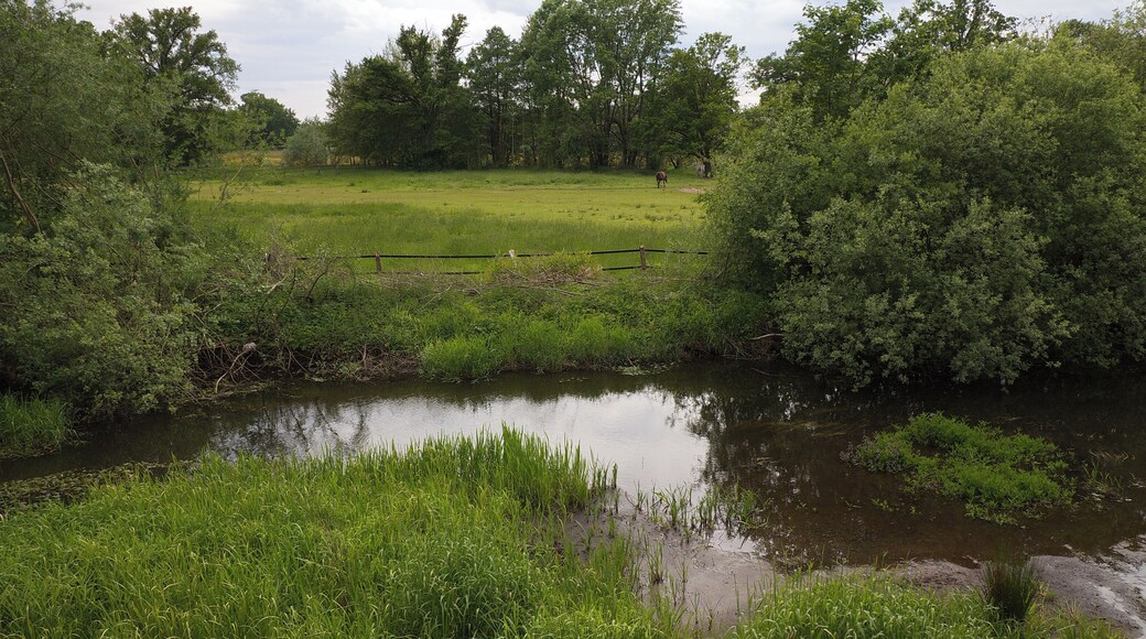 LSG Örtzetal von Müden bis zur Allermündung bei Wolthausen (Winsen), Niedersachsen, Deutschland