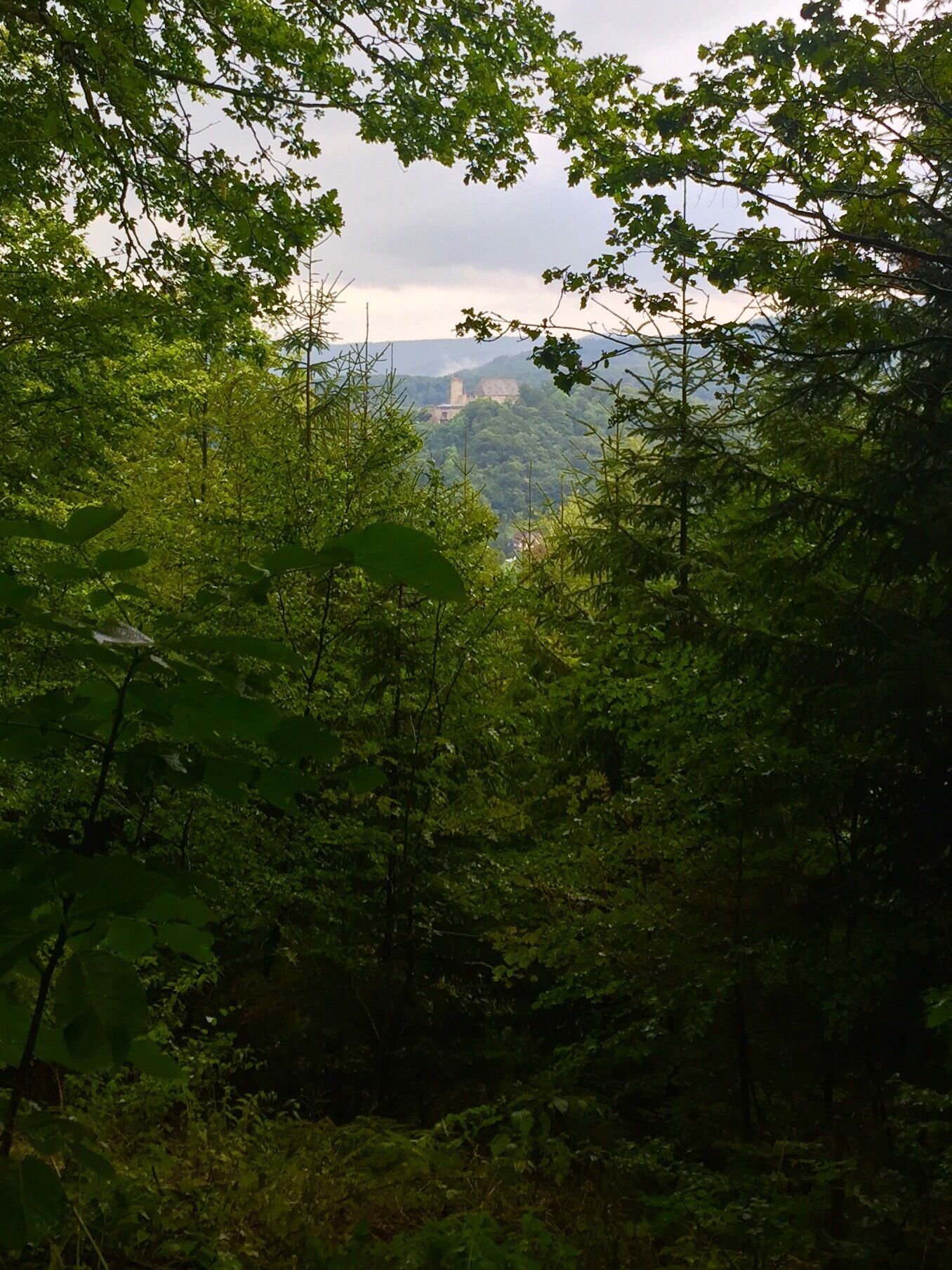 There you can see the Castle 🏰 of Biedenkopf ❤️ 