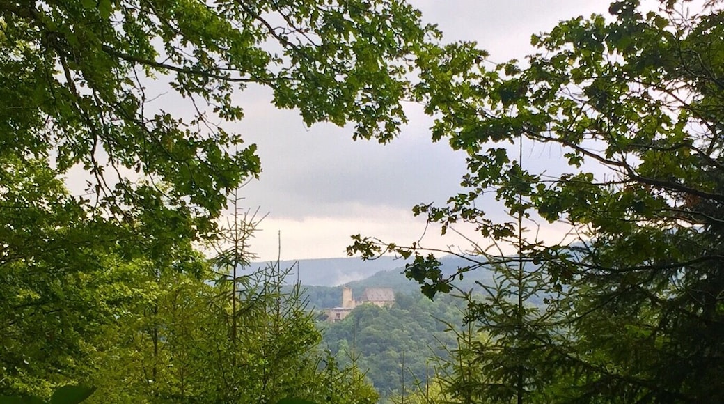 There you can see the Castle 🏰 of Biedenkopf ❤️