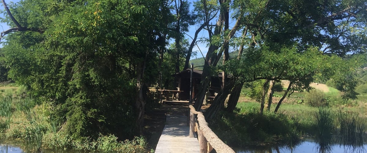 A wooden bridge over a calm body of water, surrounded by lush greenery and trees.
