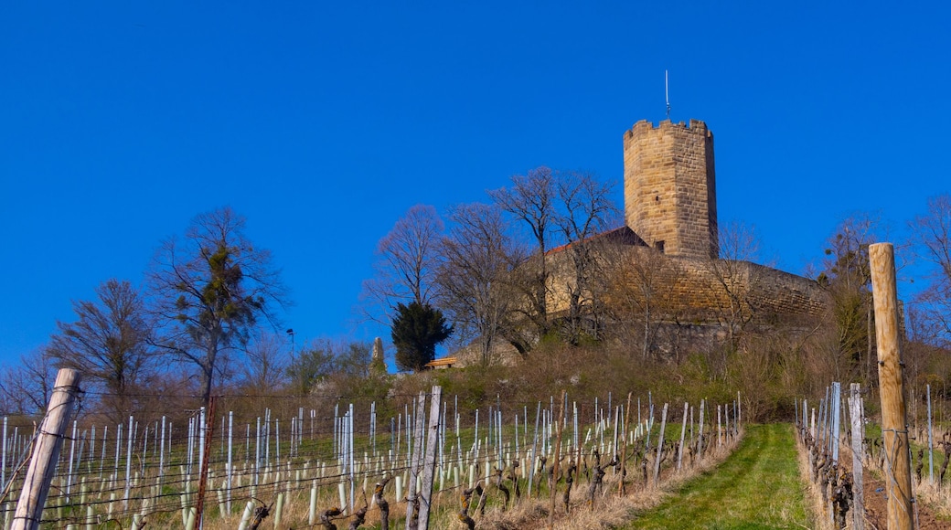 Un castello con una torre alta, circondato da un vigneto recintato.
