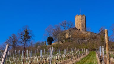 The Castle Steinsberg near Sinsheim, Kraichgau Region, Baden-Württemberg, Germany,