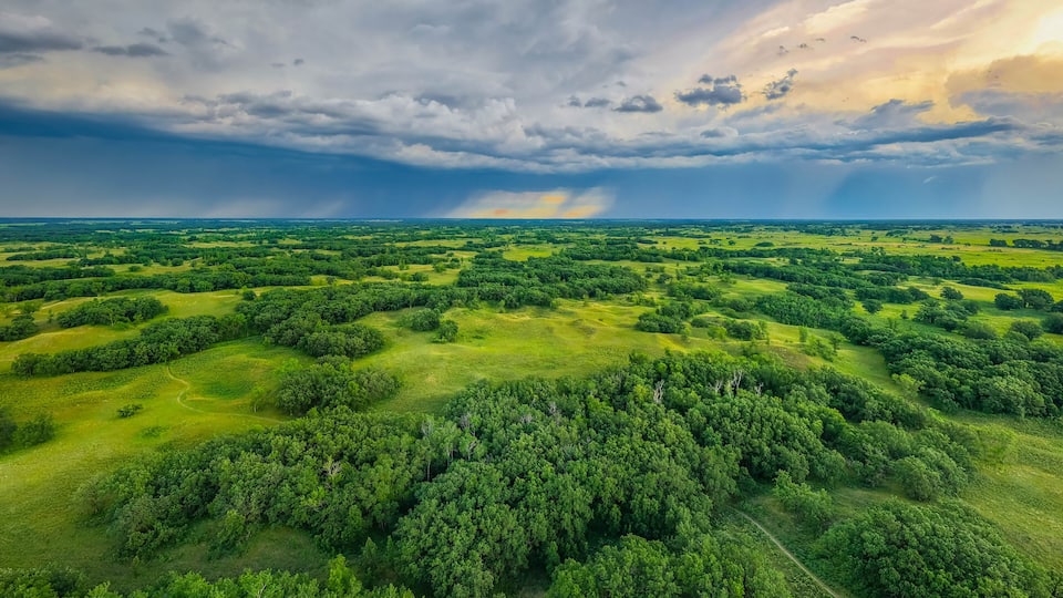 A lush green landscape with rolling hills and dense forests under a dramatic stormy sky.
