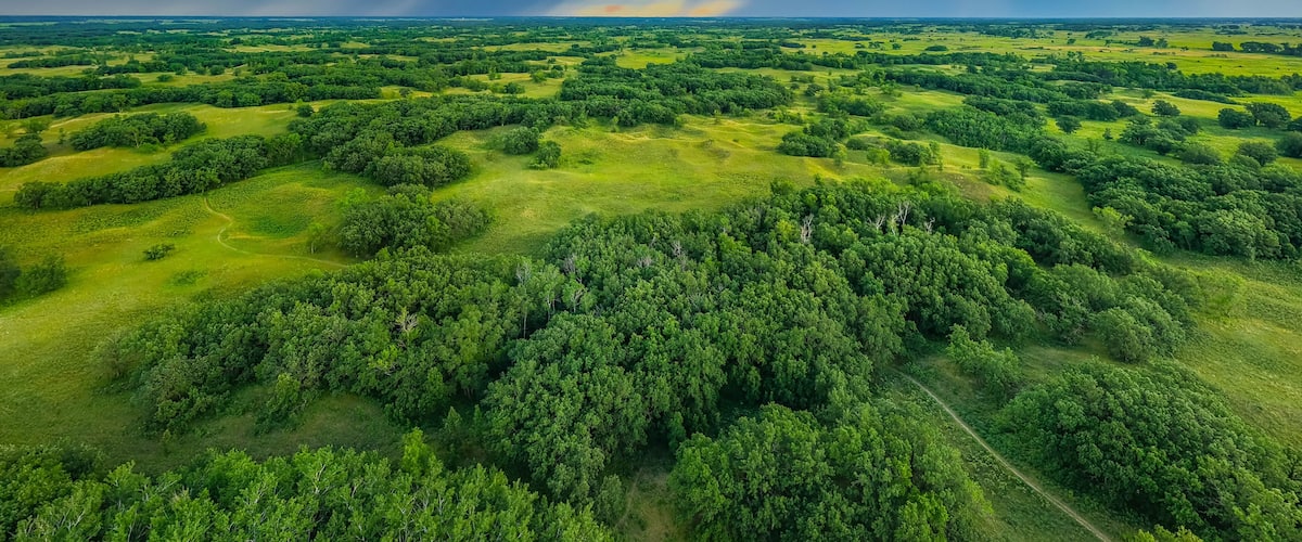 A lush green landscape with rolling hills and dense forests under a dramatic stormy sky.