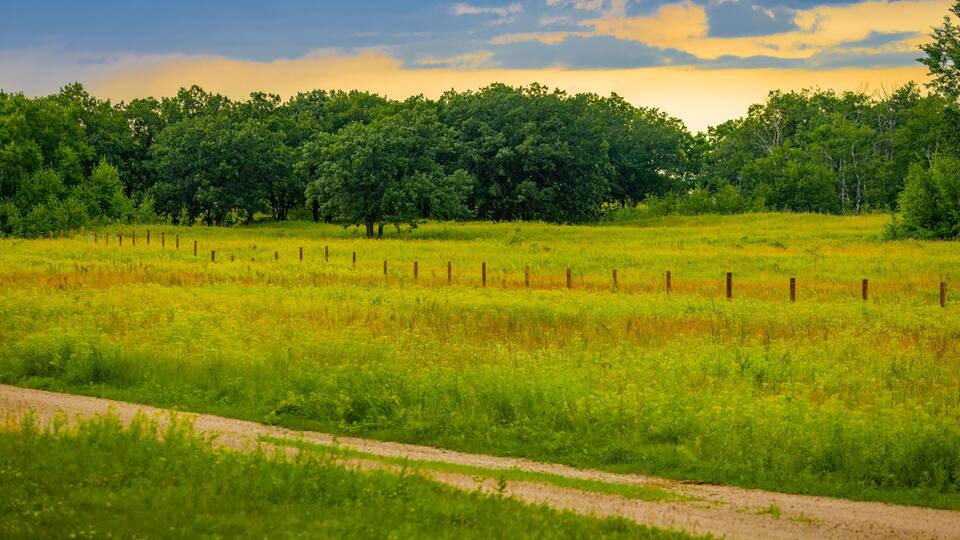 A grassy field with a dirt path and a fence.