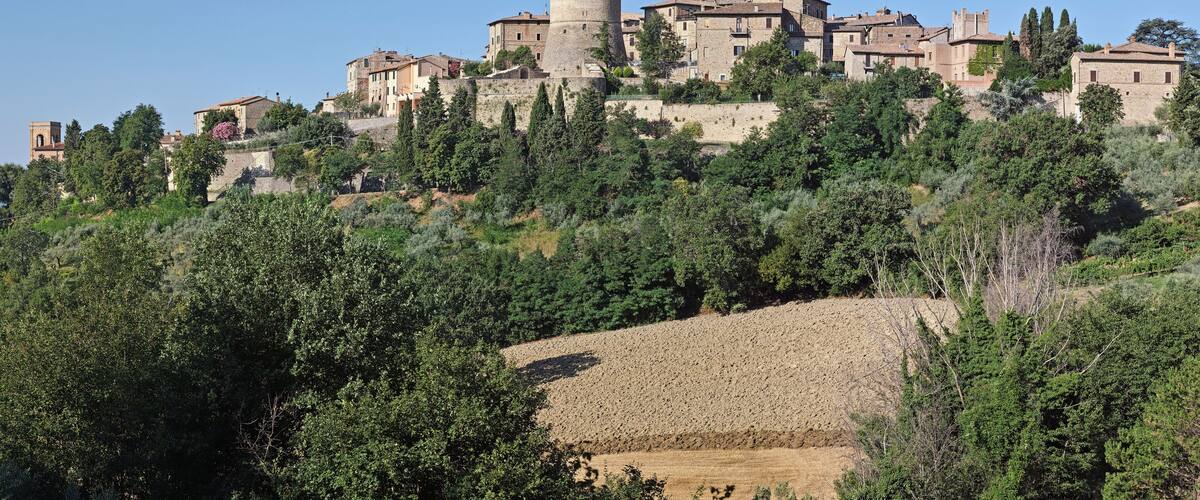 A historic hilltop town with medieval architecture, including a prominent tower and fortified walls.