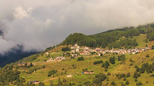 Mountain walk from Cogolo di Peio naar M.ga Levi (2015 m) in the Stelvio National Park (Italy).