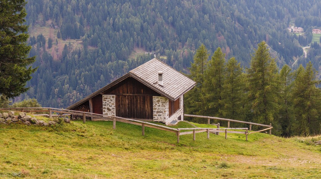 Mountain walk from Cogolo di Peio naar M.ga Levi (2015 m) in the Stelvio National Park (Italy). Farm.