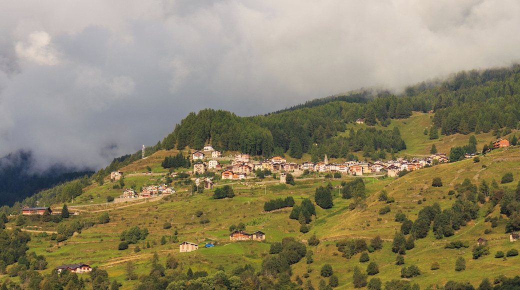 Mountain walk from Cogolo di Peio naar M.ga Levi (2015 m) in the Stelvio National Park (Italy).