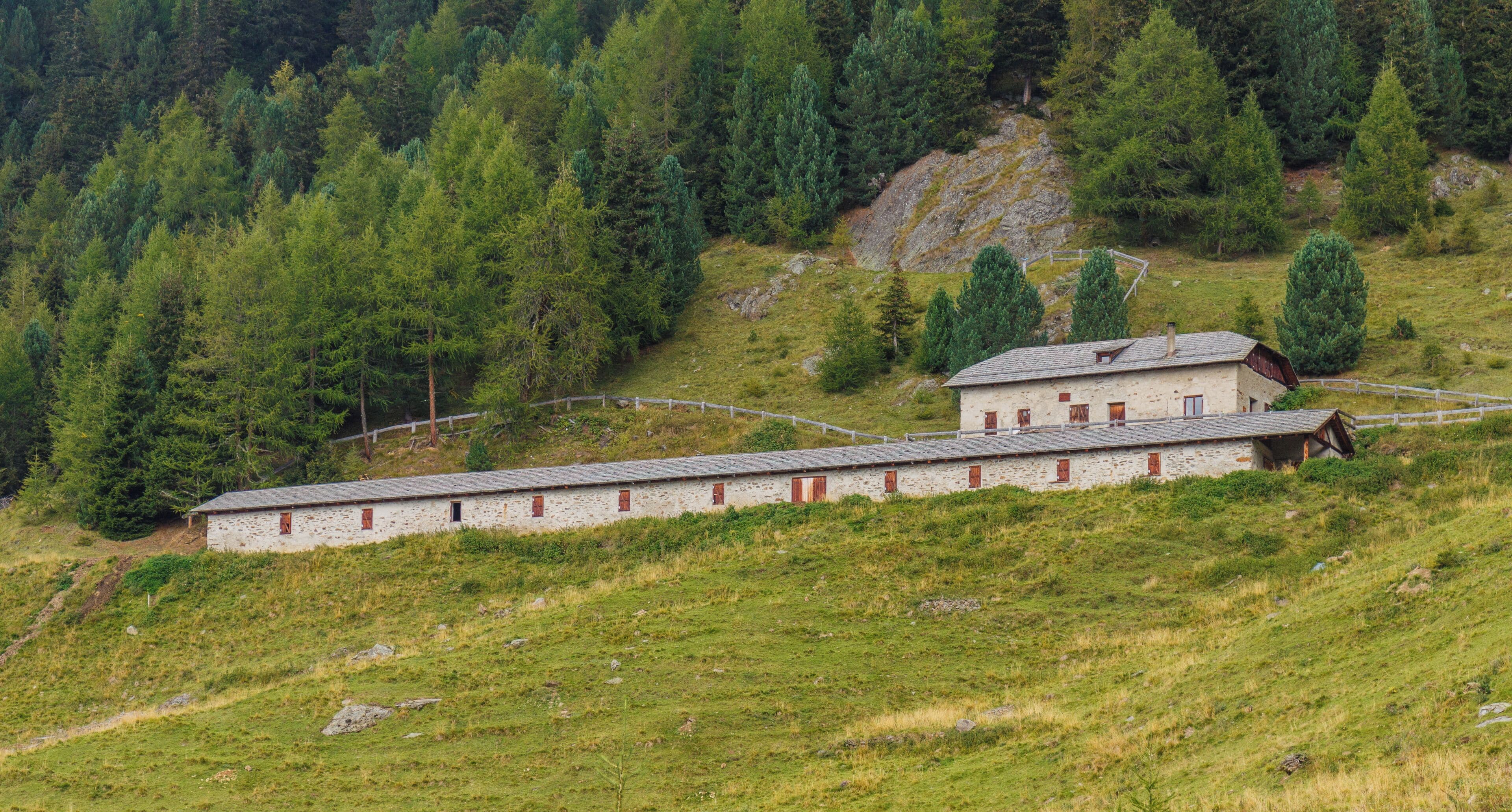 Mountain walk from Cogolo di Peio naar M.ga Levi (2015 m) in the Stelvio National Park (Italy).