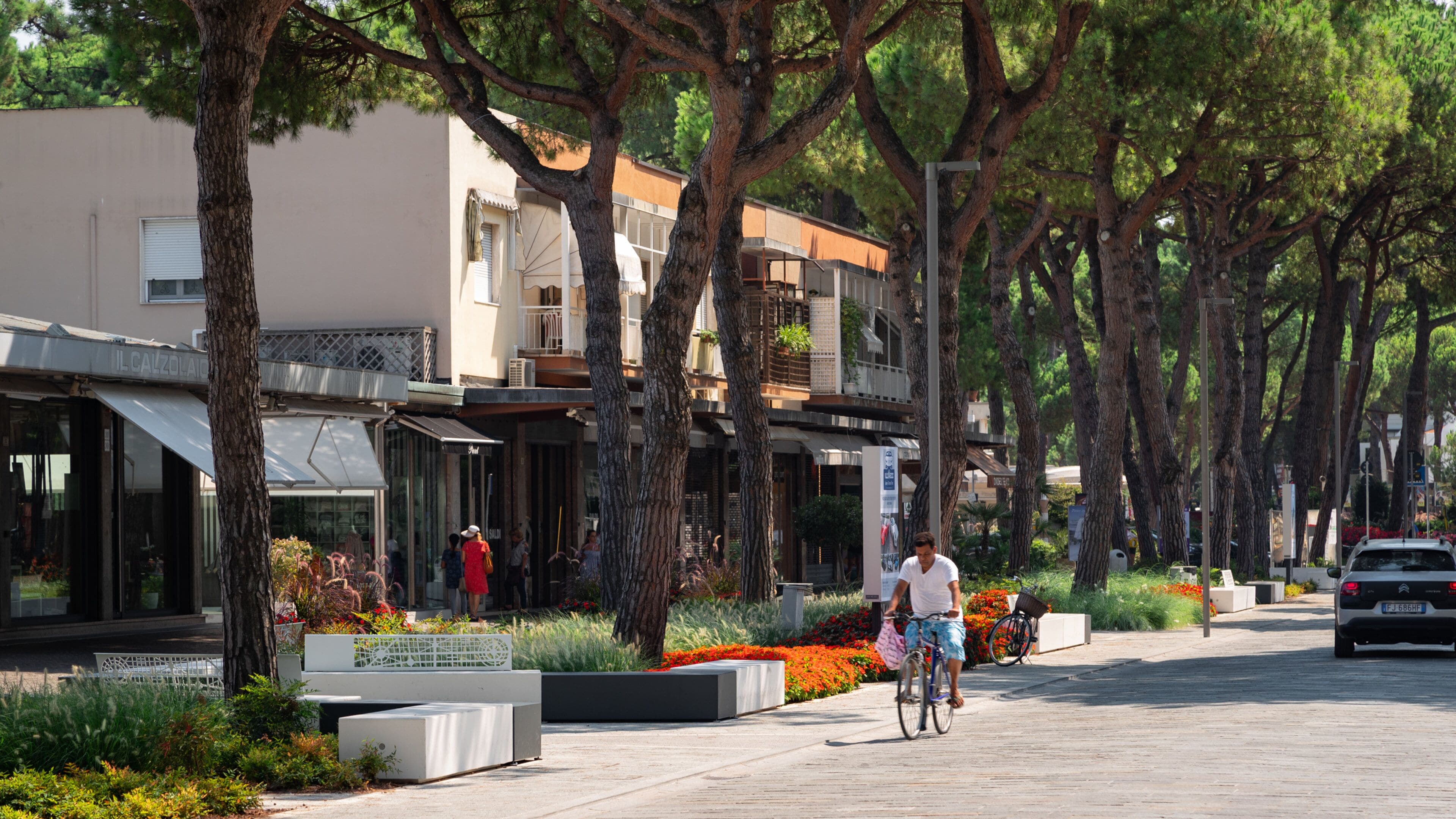 Milano Marittima featuring a garden and flowers