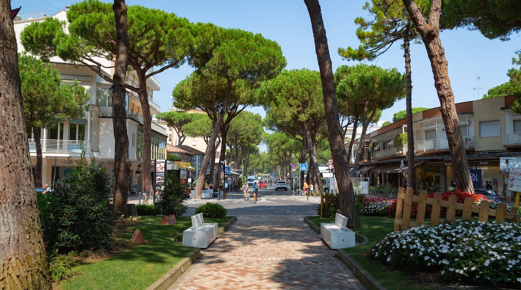 Milano Marittima featuring a park and flowers