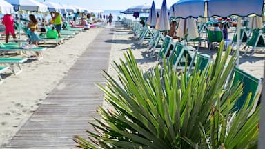 A beach with rows of sun loungers and umbrellas, a wooden walkway, and green plants in the foreground.