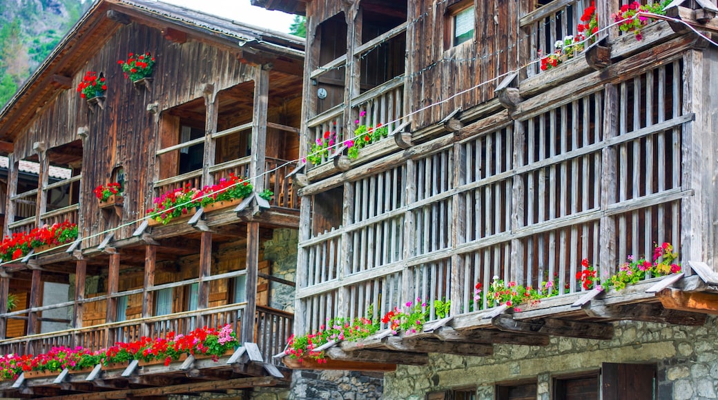 flowered balconies in the traditional ancient wooden houses of Sappada