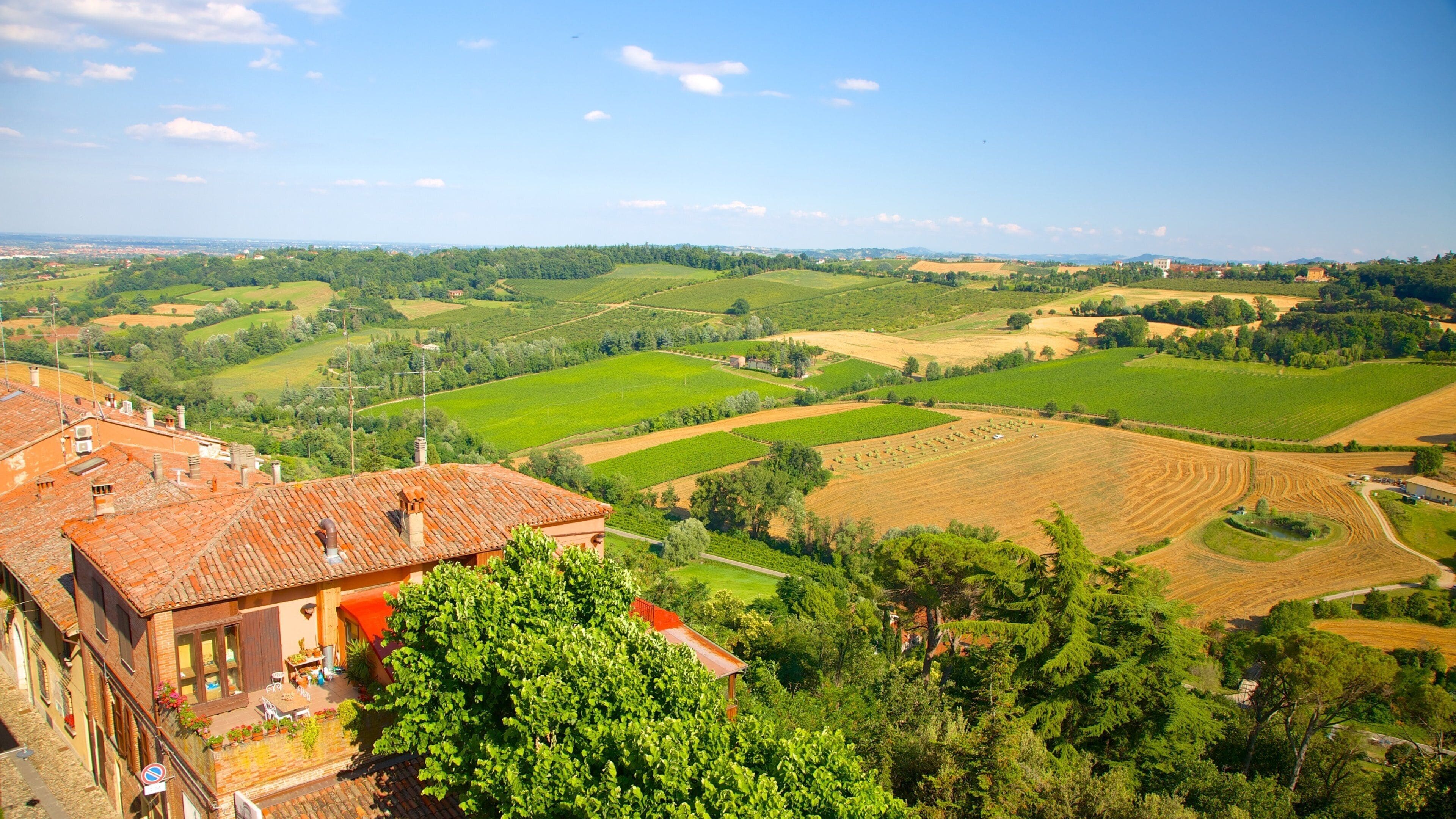 Dozza featuring farmland and tranquil scenes