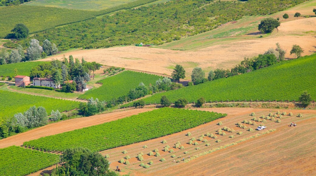Dozza which includes tranquil scenes and farmland