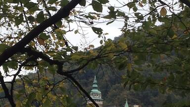 Una masa de agua con un edificio que tiene una cúpula verde al fondo.