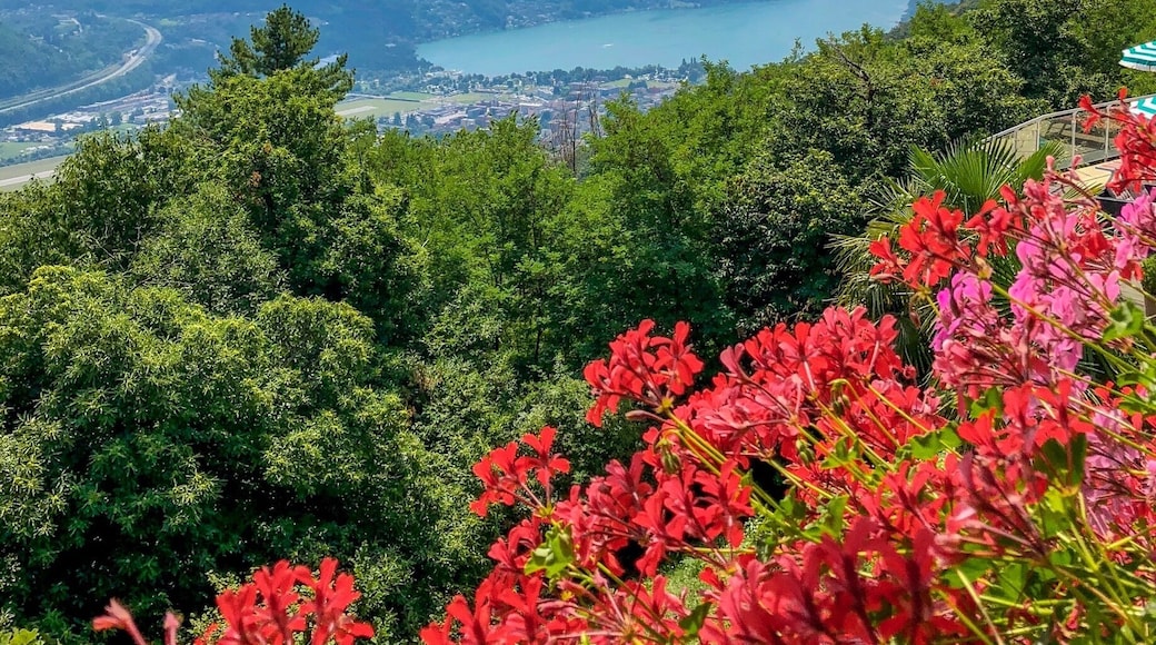 View over Lago di Lugano from Cademario, Switzerland
#AboveItAll
