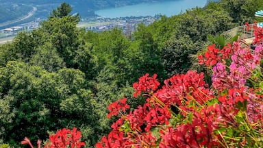 View over Lago di Lugano from Cademario, Switzerland
#AboveItAll