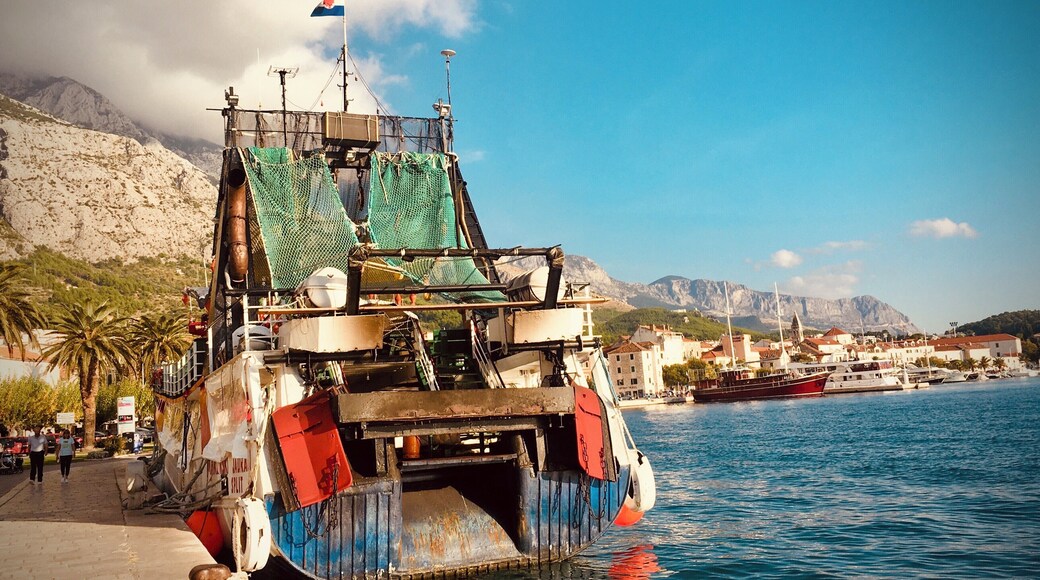 Marina/ October vibes