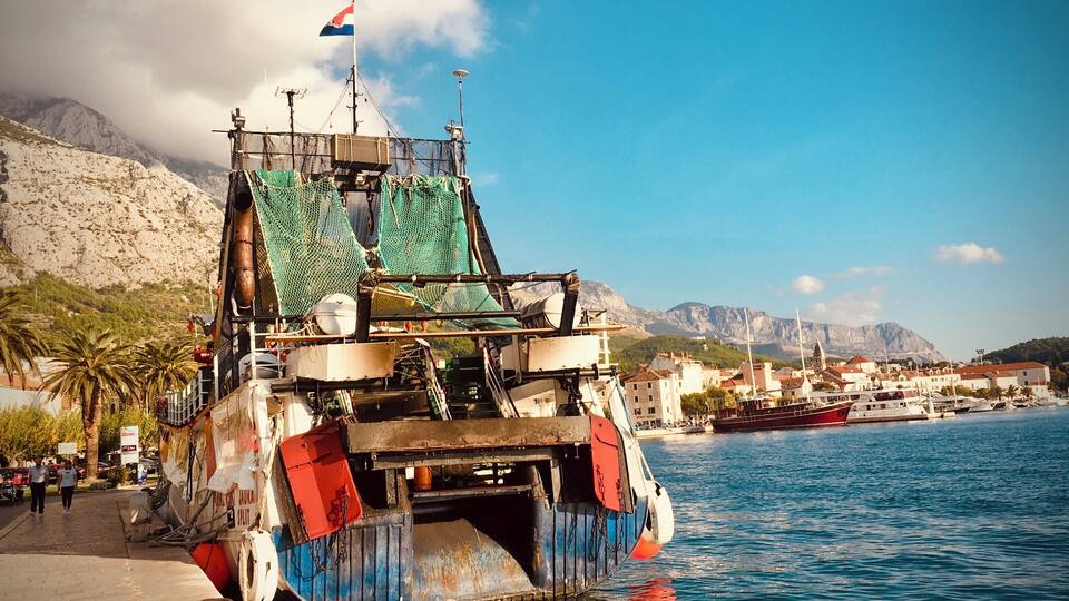 Marina/ October vibes