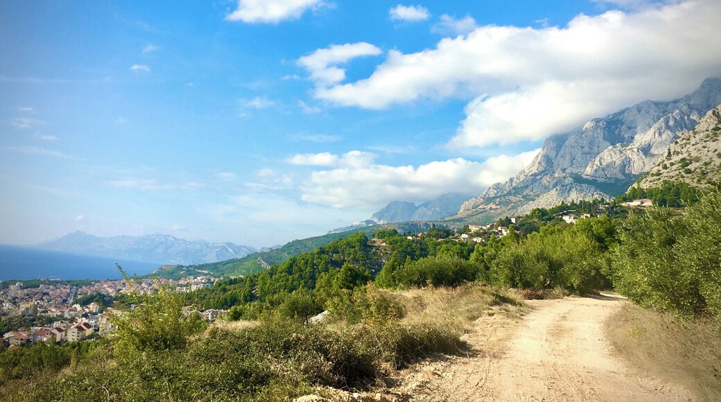 Botanical Garden trail / hike takes about 3-4 hrs