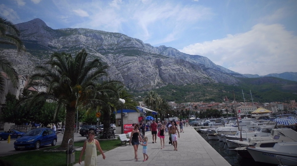 Port in Makarska