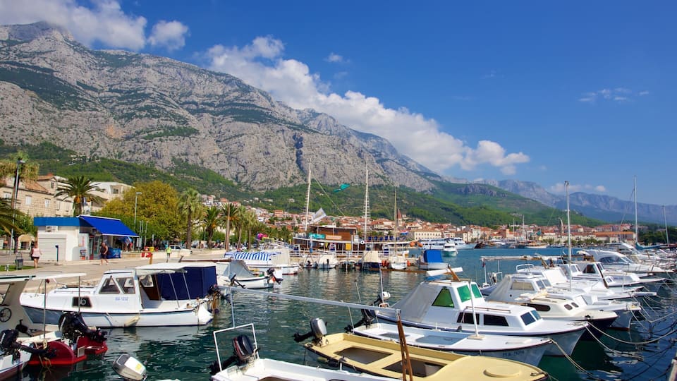A marina with boats docked, a town with buildings, and mountains in the background.