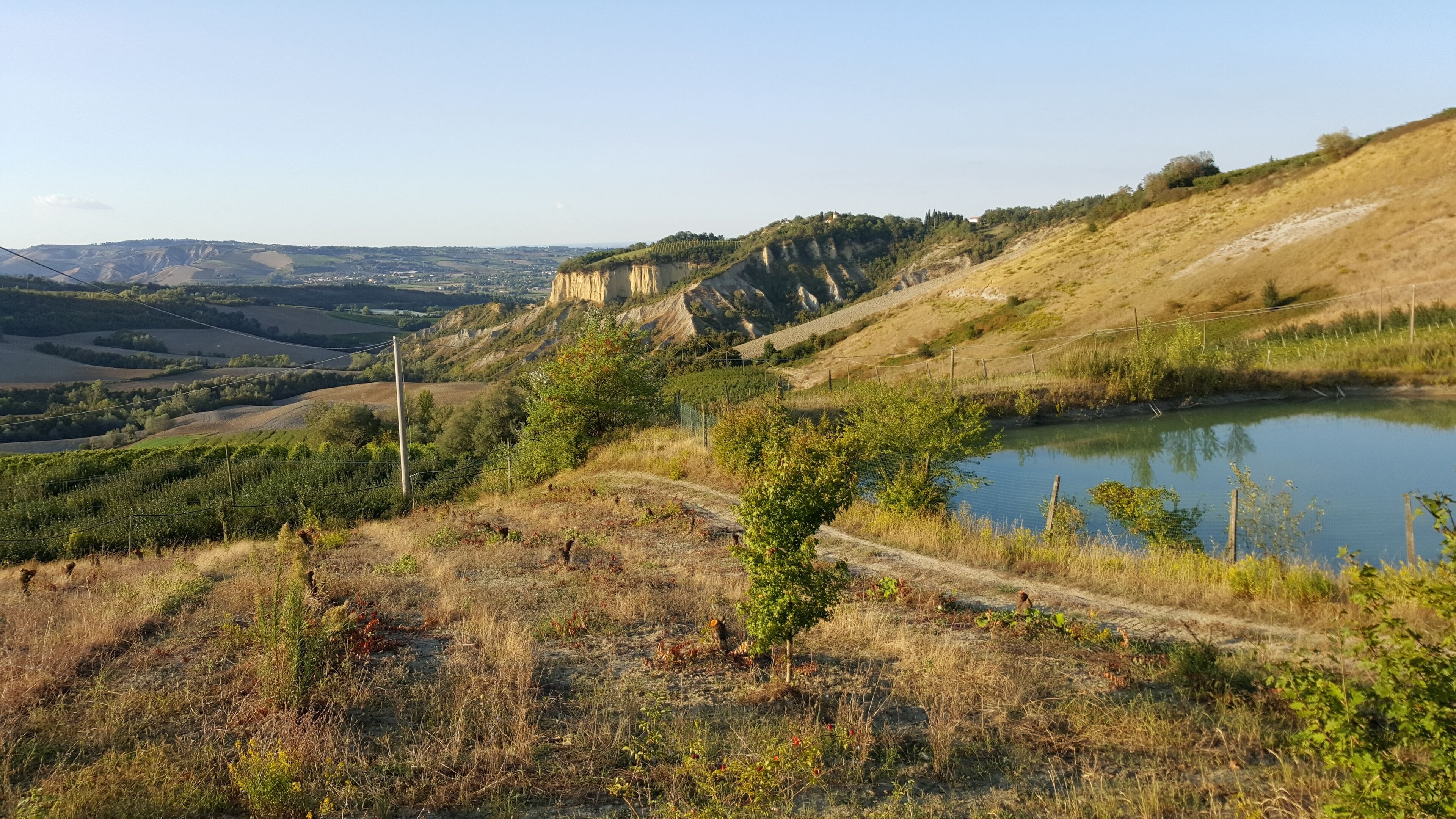 Costa Vecchia a Borgo Rivola