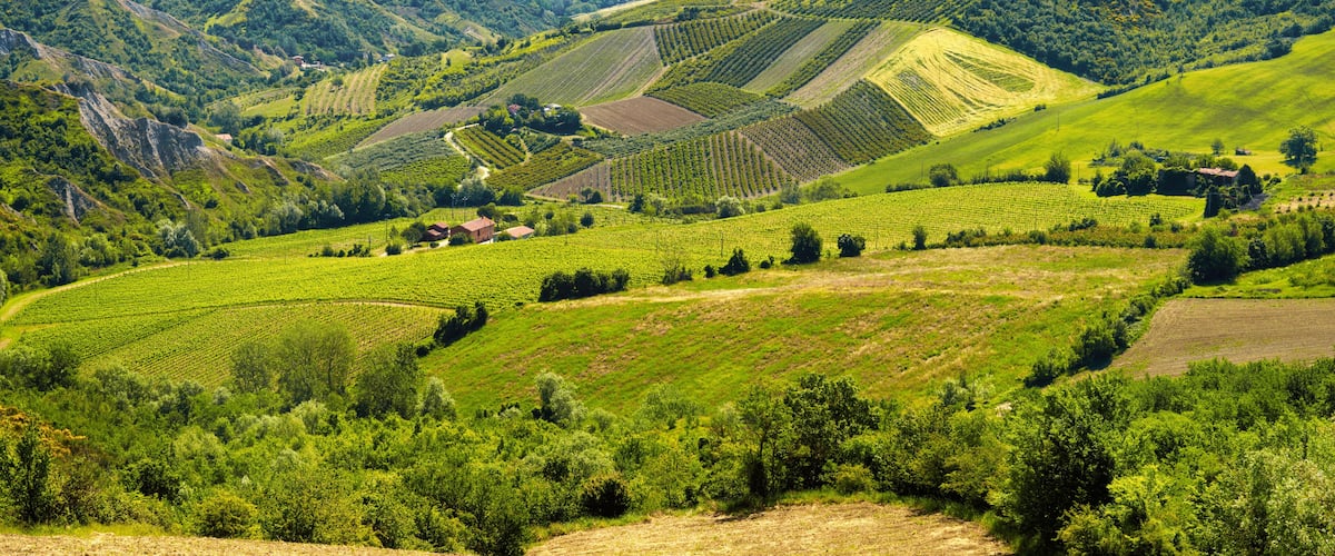 Rural landscape on the hills near Imola and Riolo Terme