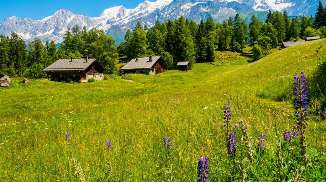 View of Mont Blanc from Charousse, Les Houches, France; Shutterstock ID 673395325; purchase_order: SP-1332 HA Batch 2 August 2018; Order: ; client: HomeAway; other: To be paid with HA budget