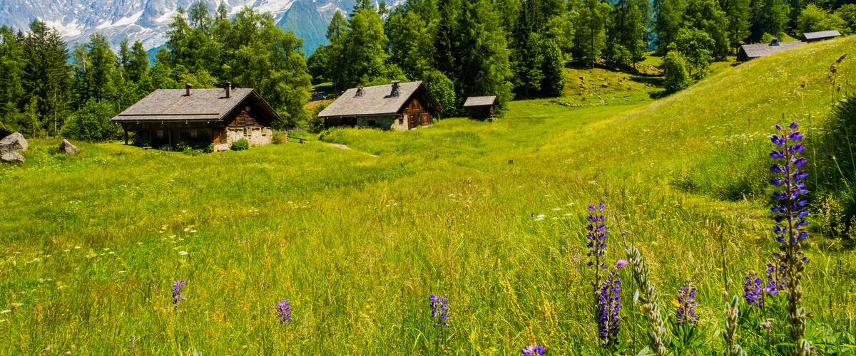 A mountainous landscape with snow-capped peaks, green fields, and traditional wooden houses.