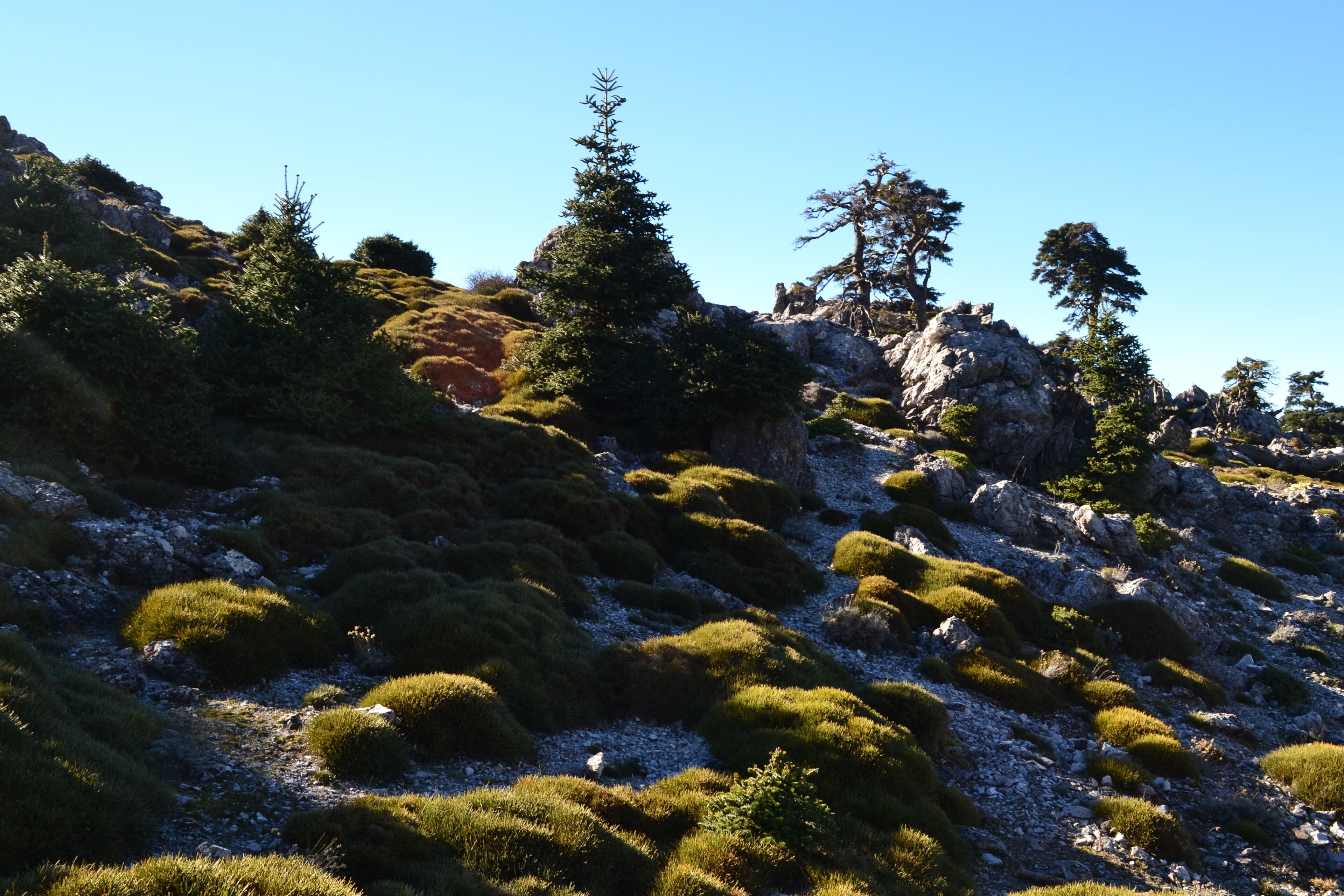 This is a photography of a Site of Community Importance in Spain with the ID: