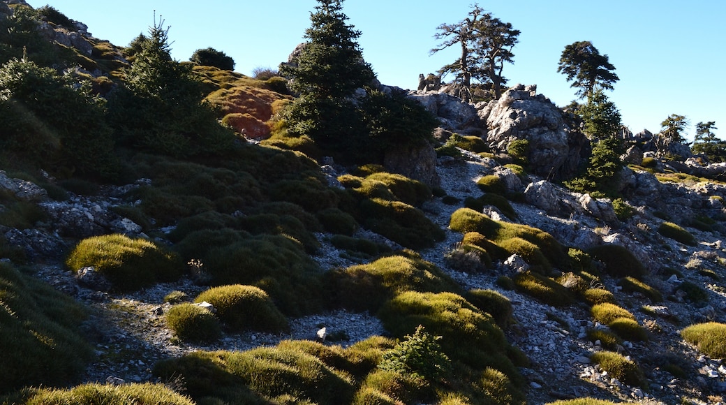 This is a photography of a Site of Community Importance in Spain with the ID: