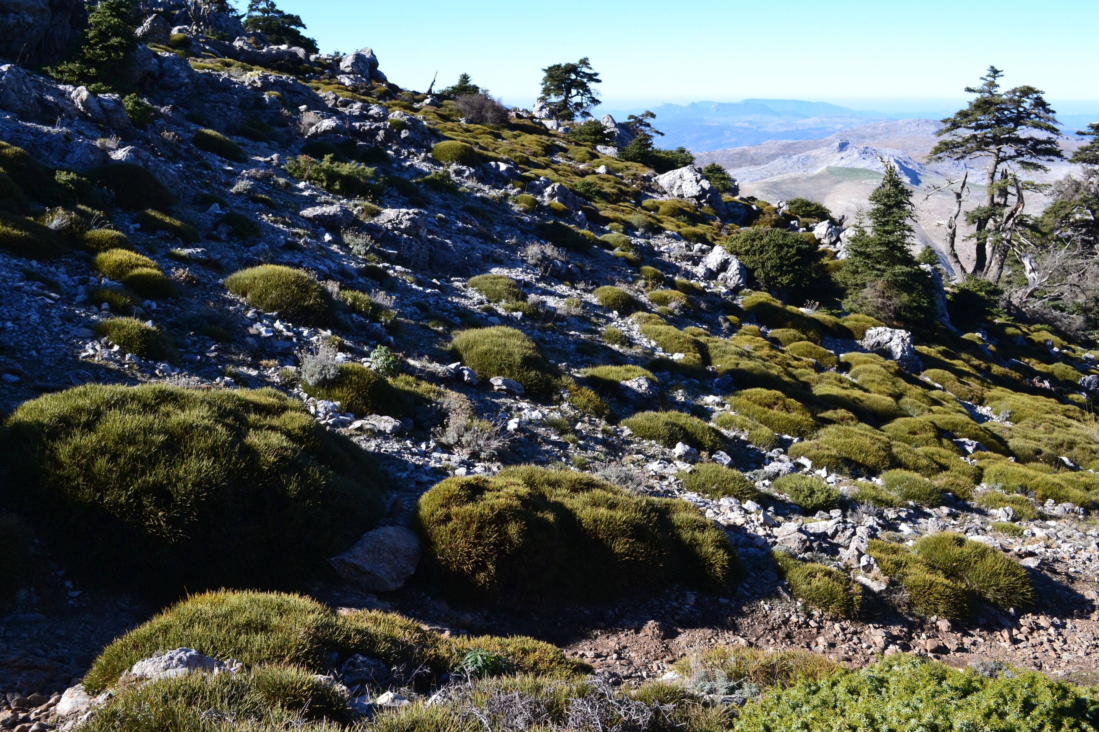 This is a photography of a Site of Community Importance in Spain with the ID: