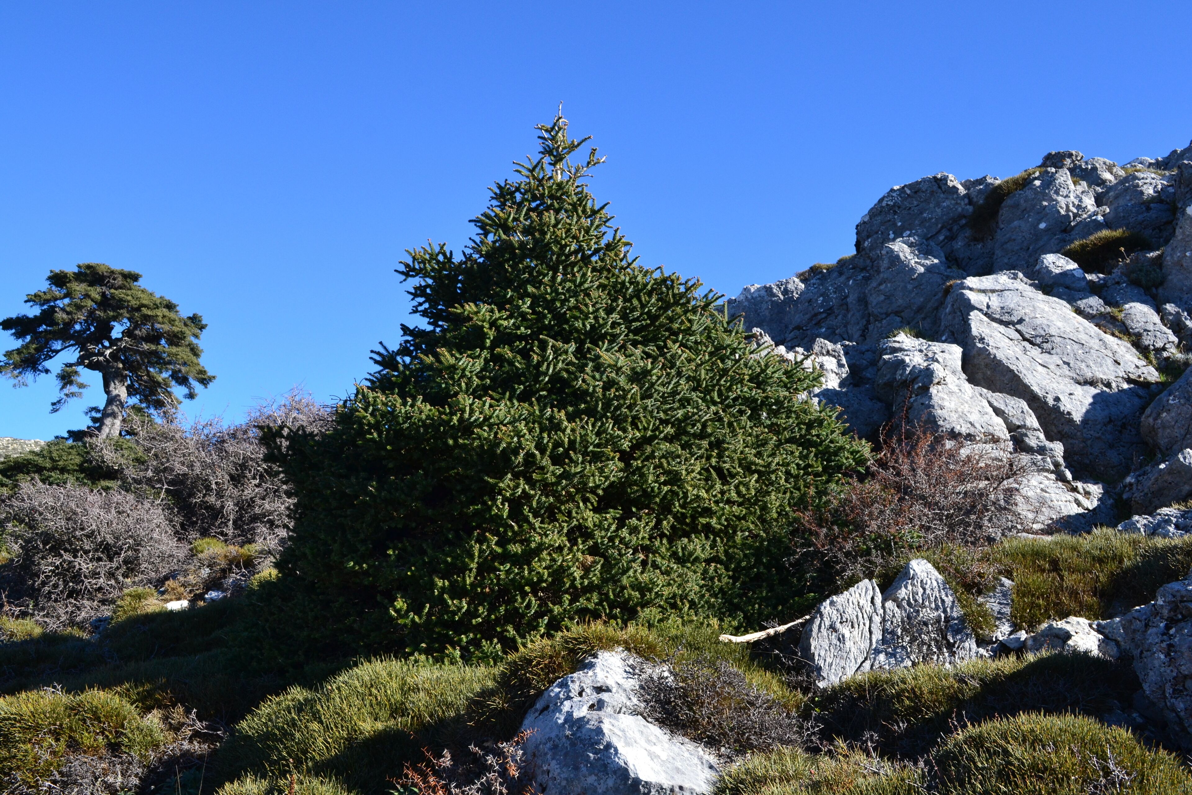 This is a photography of a Site of Community Importance in Spain with the ID: